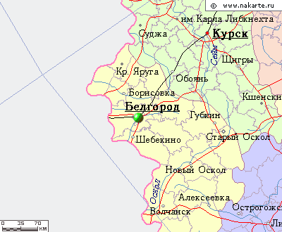 Сетка рабица на забор Белгород Сетка рабица на забор Белгород