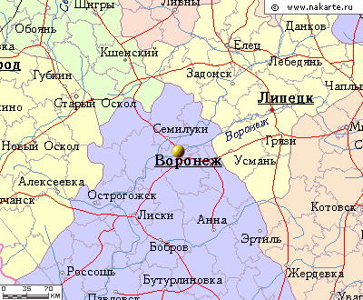 Сетка рабица на забор Воронеж Сетка рабица на забор Воронеж